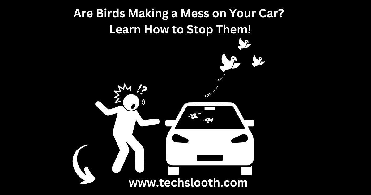 How to Stop Birds from Pooping on Your Car
